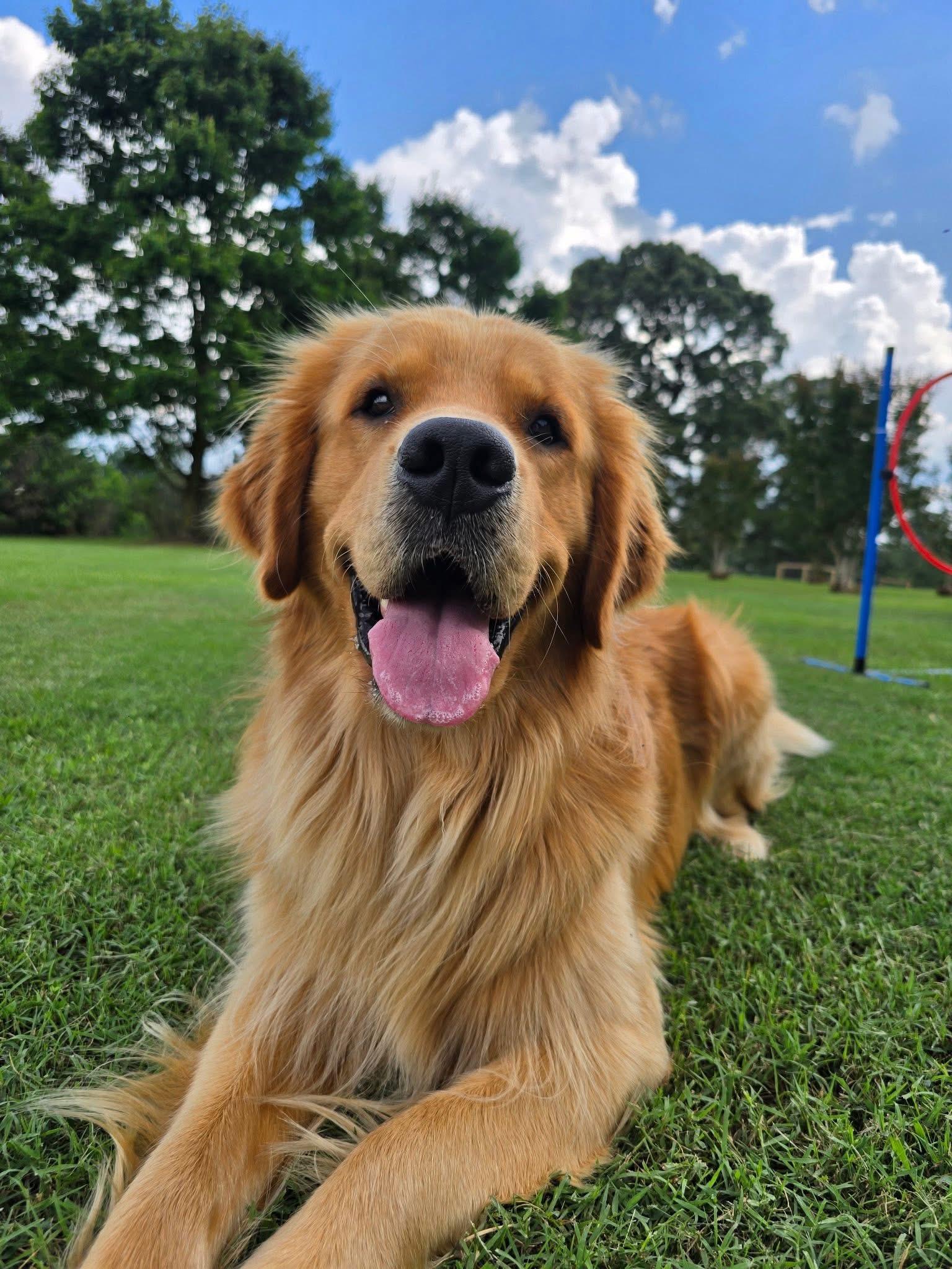 Oakley
